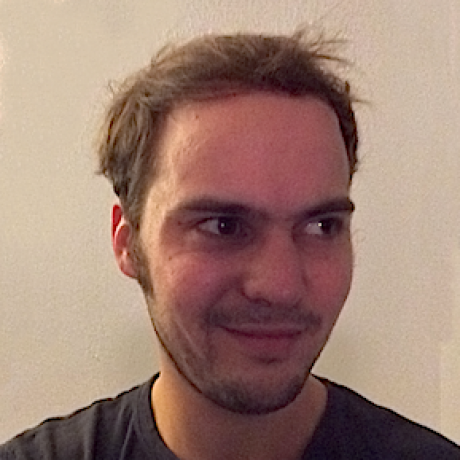 Joris Witteman